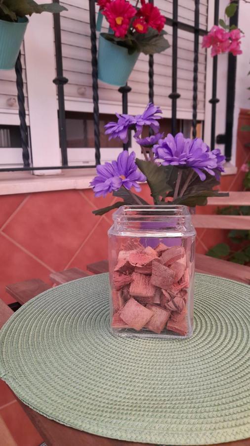Casa Flamenca Ferienhaus Castilleja de la Cuesta